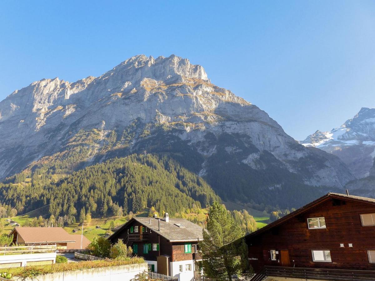 Apartment Chalet Almis-Boedeli-2 By Interhome Grindelwald Kültér fotó