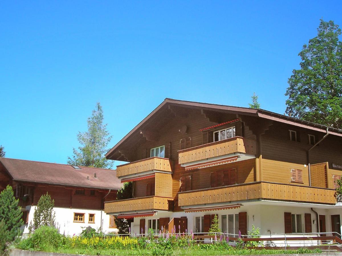 Apartment Chalet Almis-Boedeli-2 By Interhome Grindelwald Kültér fotó