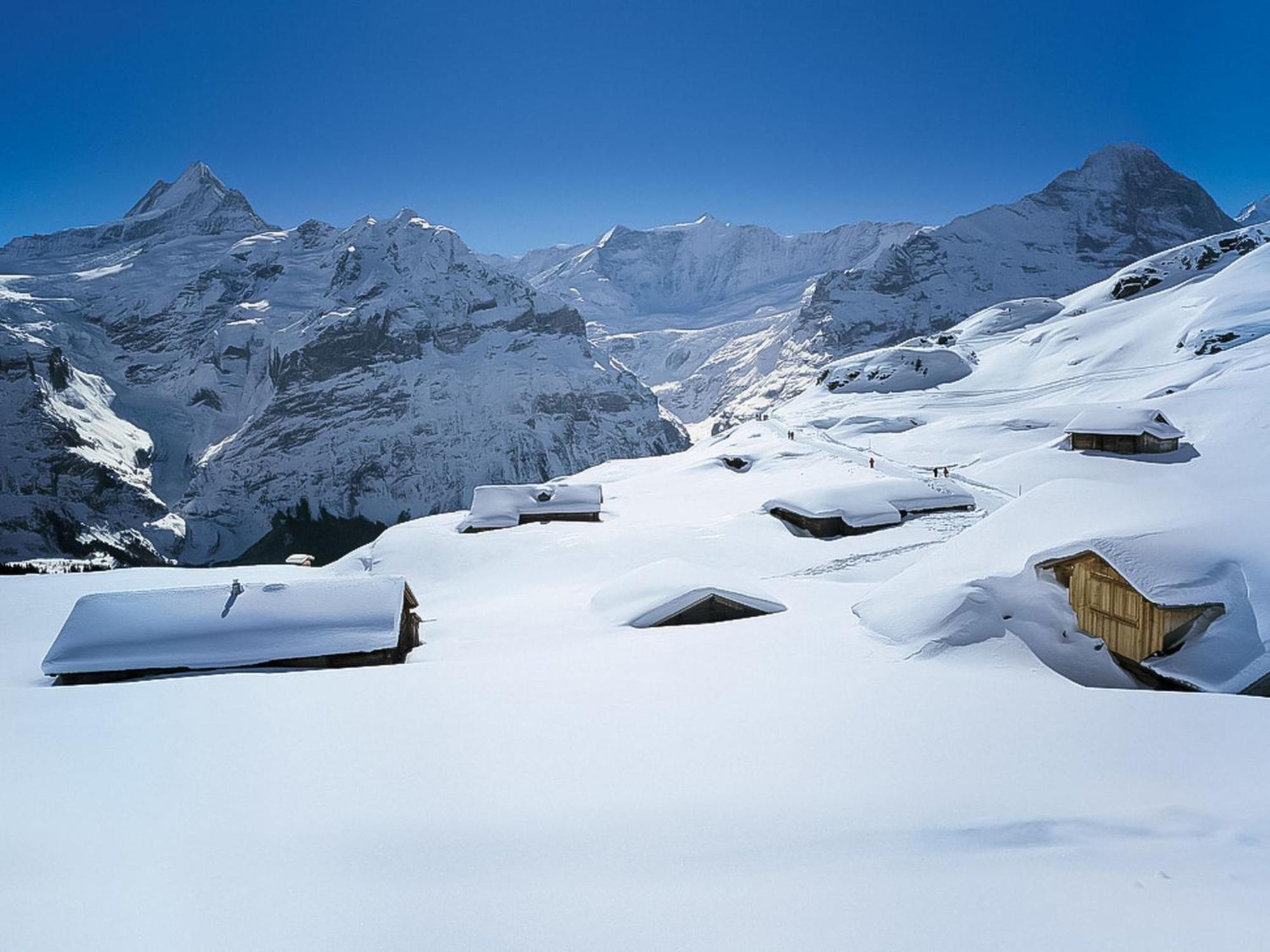 Apartment Chalet Almis-Boedeli-2 By Interhome Grindelwald Kültér fotó